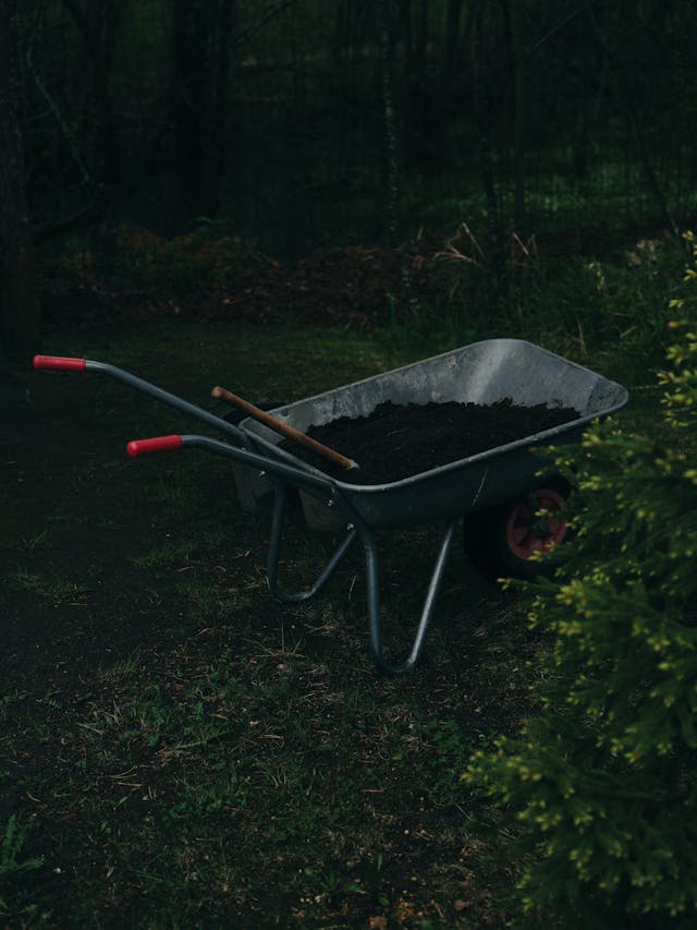 Effektive tips til at få professionel havehjælp
